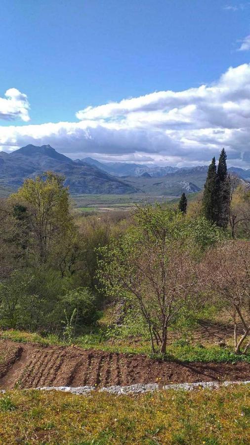 Apartman Vesna Virpazar Bagian luar foto