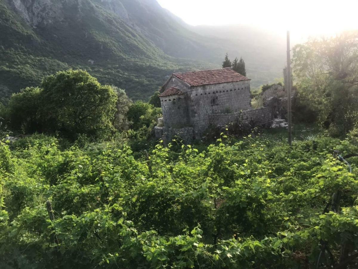Apartman Vesna Virpazar Bagian luar foto